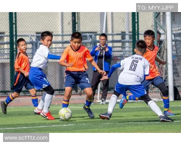 深圳篮球队在精英赛中的心理素质分析与表现评估