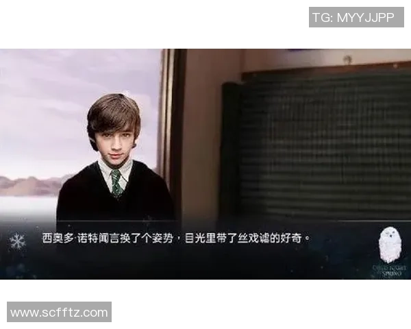 足球明星西奥多诺特的传奇旅程与辉煌成就揭秘